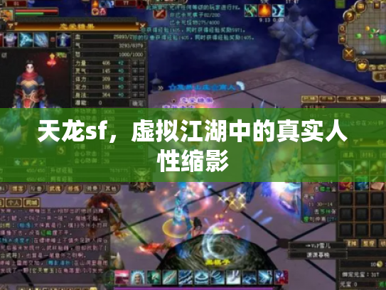 天龙sf，虚拟江湖中的真实人性缩影