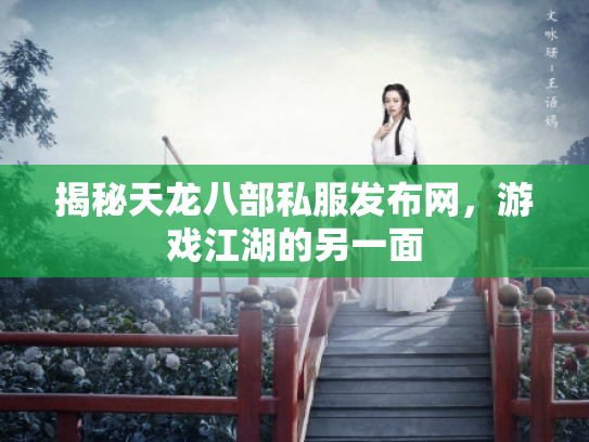 揭秘天龙八部私服发布网，游戏江湖的另一面