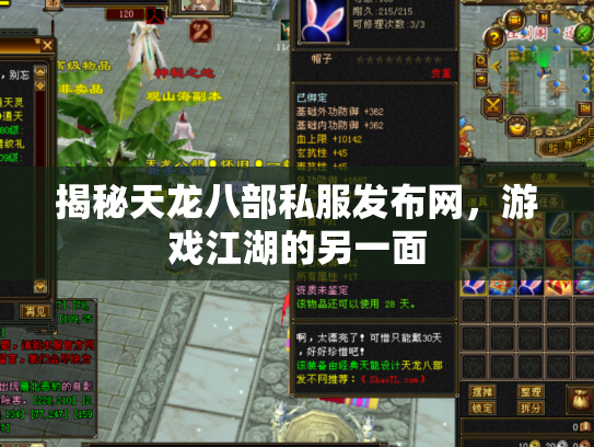 揭秘天龙八部私服发布网，游戏江湖的另一面