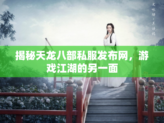 揭秘天龙八部私服发布网，游戏江湖的另一面