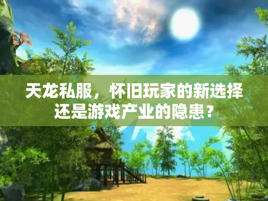 天龙私服，怀旧玩家的新选择还是游戏产业的隐患？