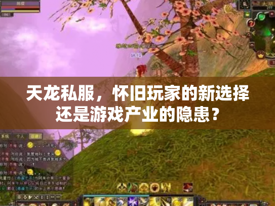 天龙私服，怀旧玩家的新选择还是游戏产业的隐患？