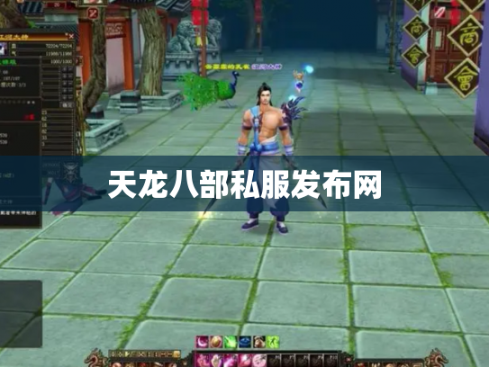天龙八部私服发布网