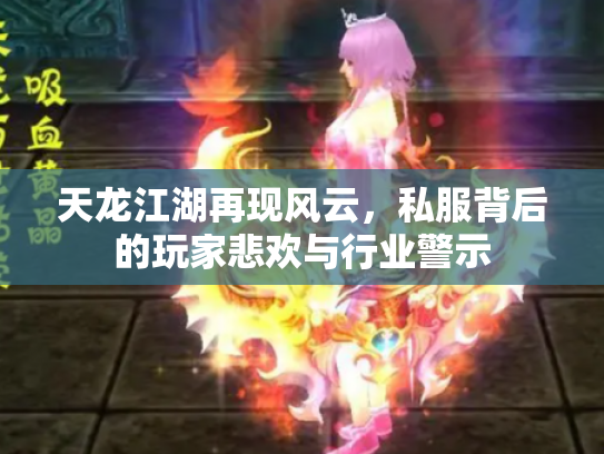 天龙江湖再现风云，私服背后的玩家悲欢与行业警示