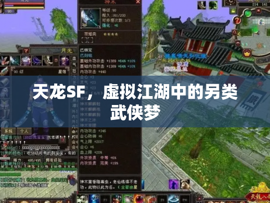 天龙SF，虚拟江湖中的另类武侠梦