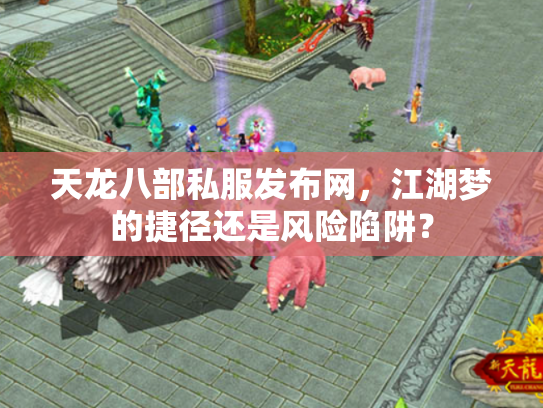天龙八部私服发布网，江湖梦的捷径还是风险陷阱？