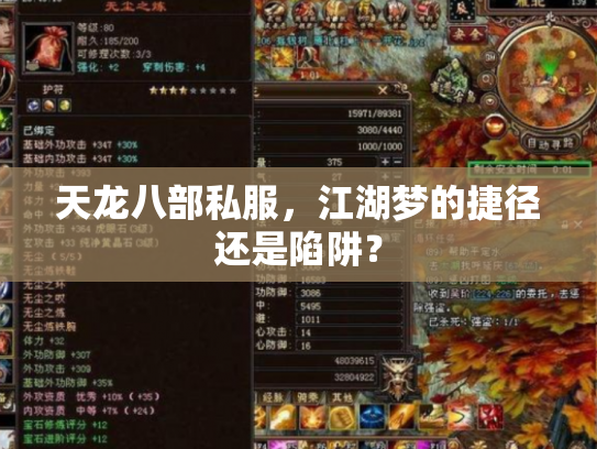 天龙八部私服，江湖梦的捷径还是陷阱？