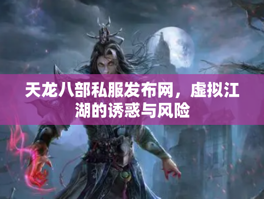 天龙八部私服发布网，虚拟江湖的诱惑与风险