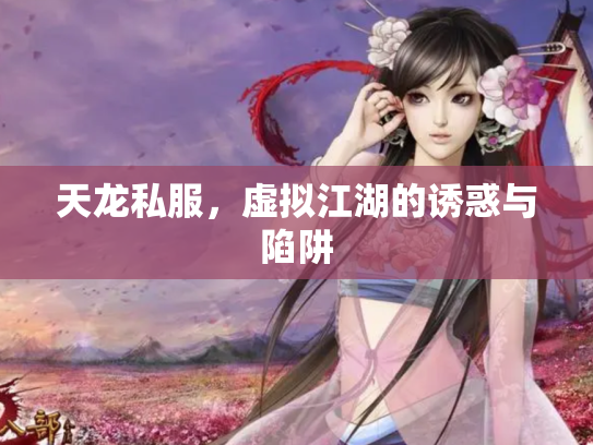 天龙私服，虚拟江湖的诱惑与陷阱
