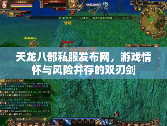 天龙八部私服发布网，游戏情怀与风险并存的双刃剑