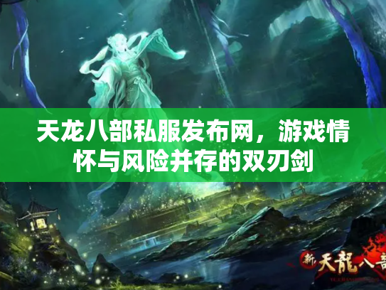 天龙八部私服发布网，游戏情怀与风险并存的双刃剑