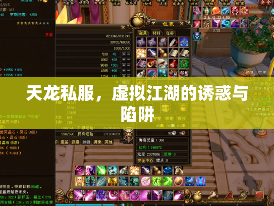 天龙私服，虚拟江湖的诱惑与陷阱