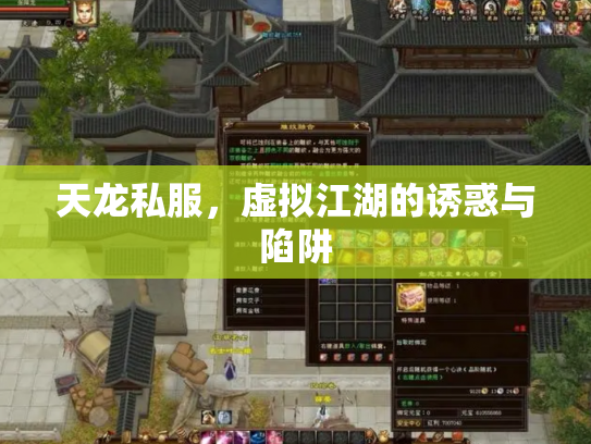 天龙私服，虚拟江湖的诱惑与陷阱