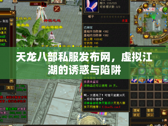 天龙八部私服发布网，虚拟江湖的诱惑与陷阱