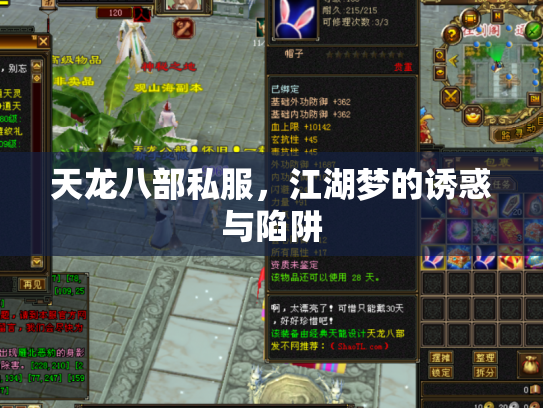 天龙八部私服，江湖梦的诱惑与陷阱