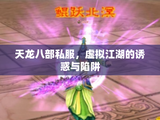 天龙八部私服，虚拟江湖的诱惑与陷阱