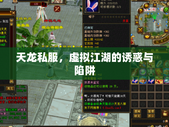 天龙私服，虚拟江湖的诱惑与陷阱