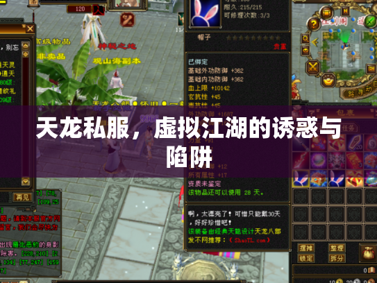 天龙私服，虚拟江湖的诱惑与陷阱