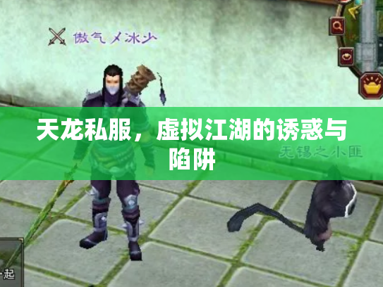 天龙私服，虚拟江湖的诱惑与陷阱