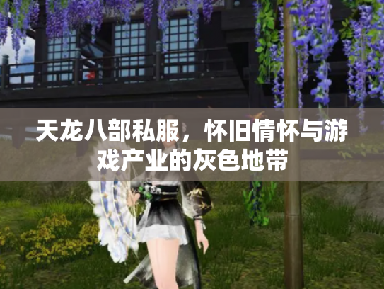 天龙八部私服，怀旧情怀与游戏产业的灰色地带
