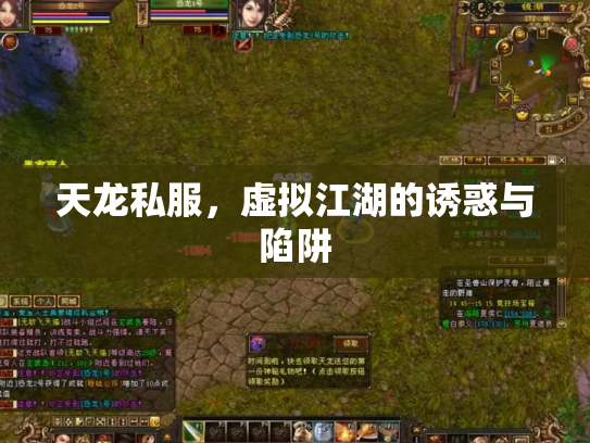 天龙私服，虚拟江湖的诱惑与陷阱