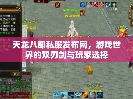 天龙八部私服发布网，游戏世界的双刃剑与玩家选择