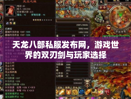 天龙八部私服发布网，游戏世界的双刃剑与玩家选择