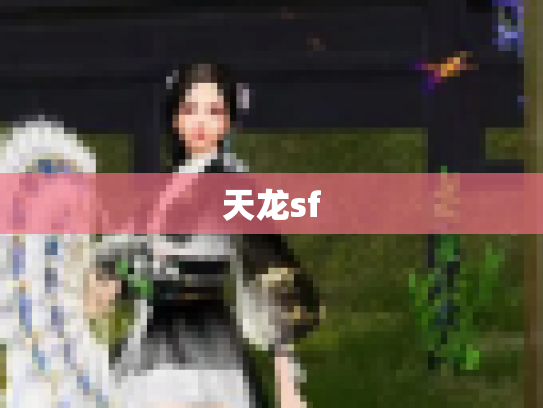 天龙sf
