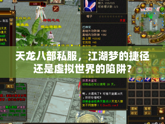 天龙八部私服，江湖梦的捷径还是虚拟世界的陷阱？