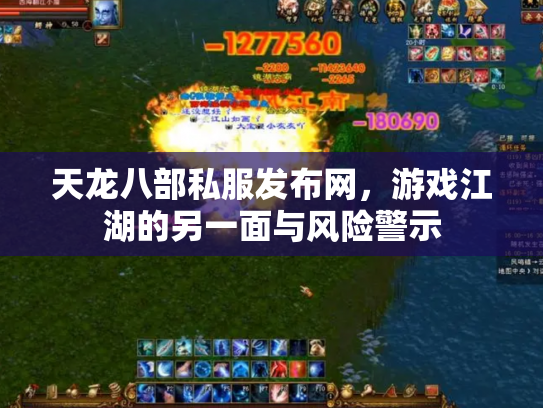 天龙八部私服发布网，游戏江湖的另一面与风险警示