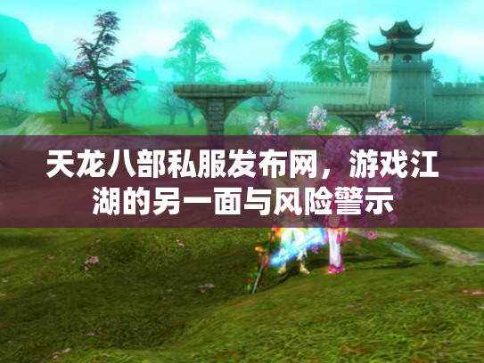 天龙八部私服发布网，游戏江湖的另一面与风险警示