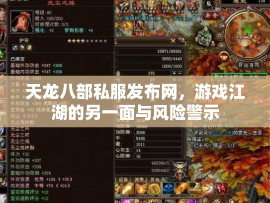 天龙八部私服发布网，游戏江湖的另一面与风险警示