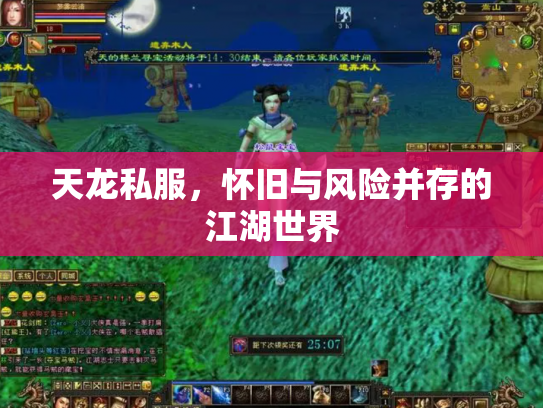 天龙私服，怀旧与风险并存的江湖世界