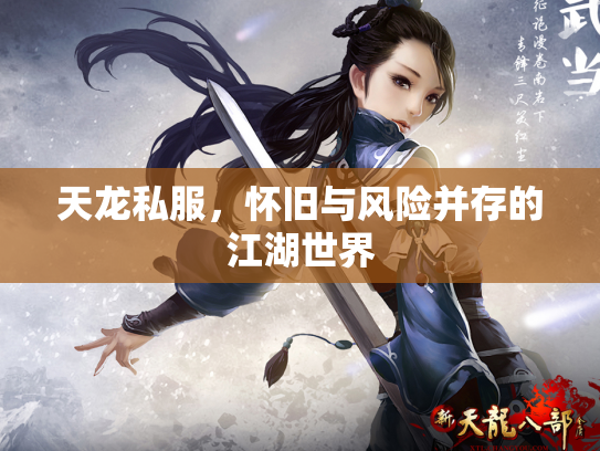 天龙私服，怀旧与风险并存的江湖世界