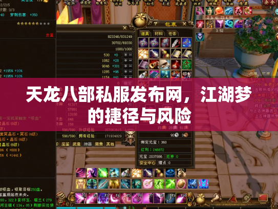 天龙八部私服发布网，江湖梦的捷径与风险