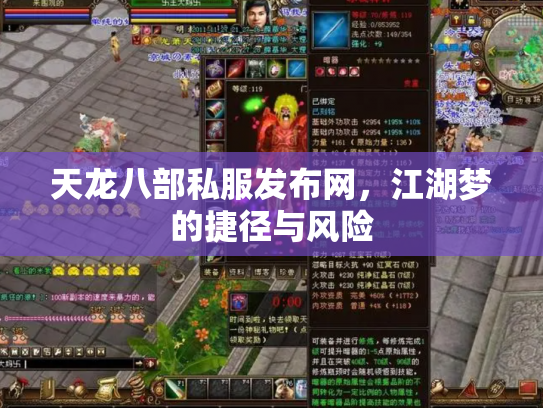 天龙八部私服发布网，江湖梦的捷径与风险