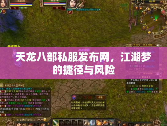 天龙八部私服发布网，江湖梦的捷径与风险