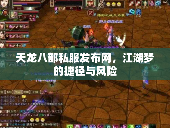 天龙八部私服发布网，江湖梦的捷径与风险