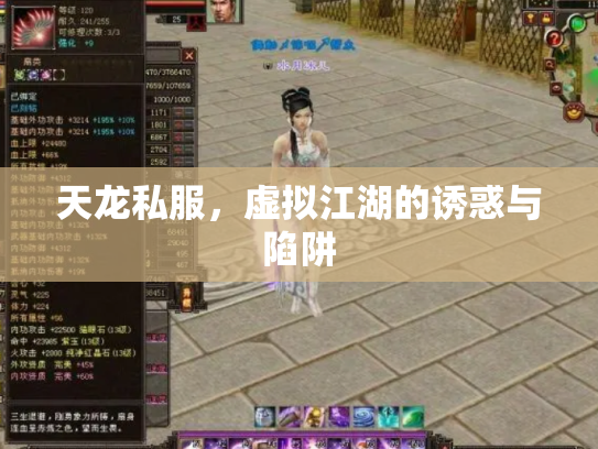 天龙私服，虚拟江湖的诱惑与陷阱