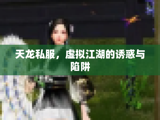 天龙私服，虚拟江湖的诱惑与陷阱