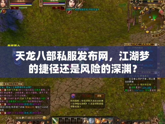 天龙八部私服发布网，江湖梦的捷径还是风险的深渊？