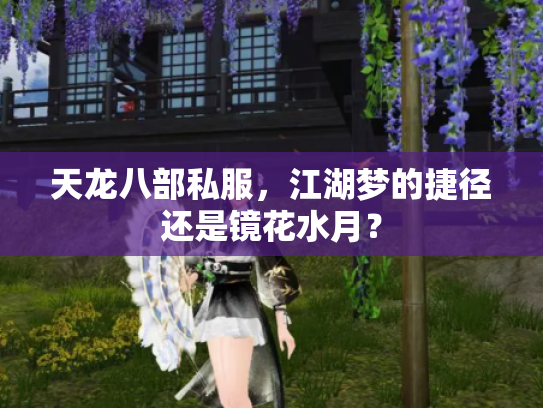 天龙八部私服，江湖梦的捷径还是镜花水月？