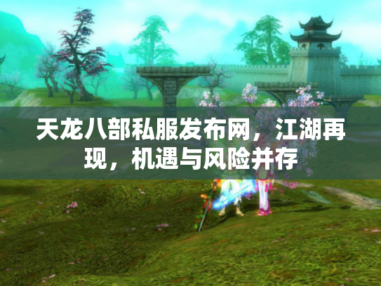 天龙八部私服发布网，江湖再现，机遇与风险并存