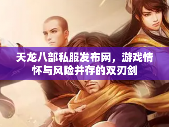 天龙八部私服发布网，游戏情怀与风险并存的双刃剑