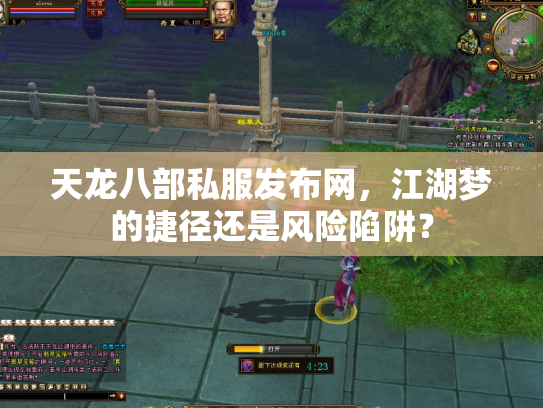 天龙八部私服发布网，江湖梦的捷径还是风险陷阱？