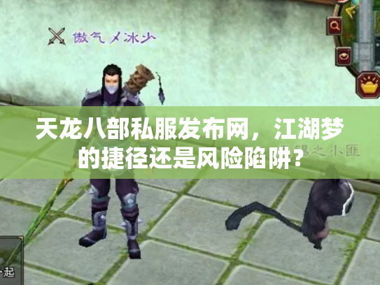 天龙八部私服发布网，江湖梦的捷径还是风险陷阱？
