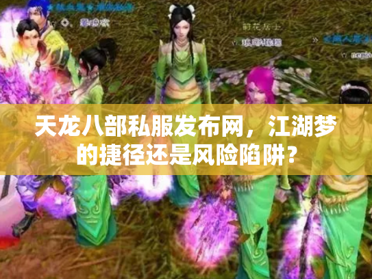 天龙八部私服发布网，江湖梦的捷径还是风险陷阱？