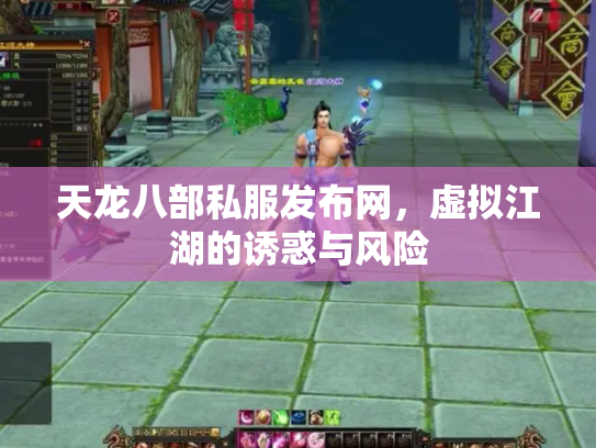 天龙八部私服发布网，虚拟江湖的诱惑与风险