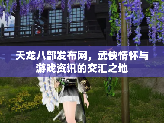天龙八部发布网，武侠情怀与游戏资讯的交汇之地