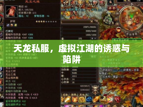 天龙私服，虚拟江湖的诱惑与陷阱